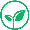 logo_head